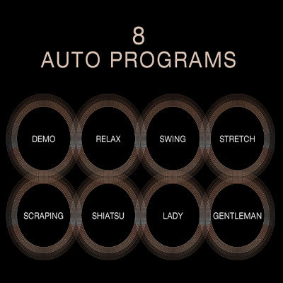 Maestro 8 Auto program